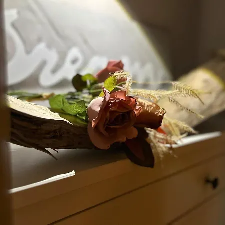 Erzperle 아파트 마리엔스베르크